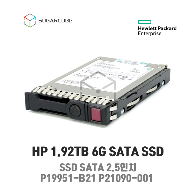 P19951-B21 P21090-001