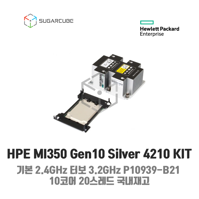 P10939-B21