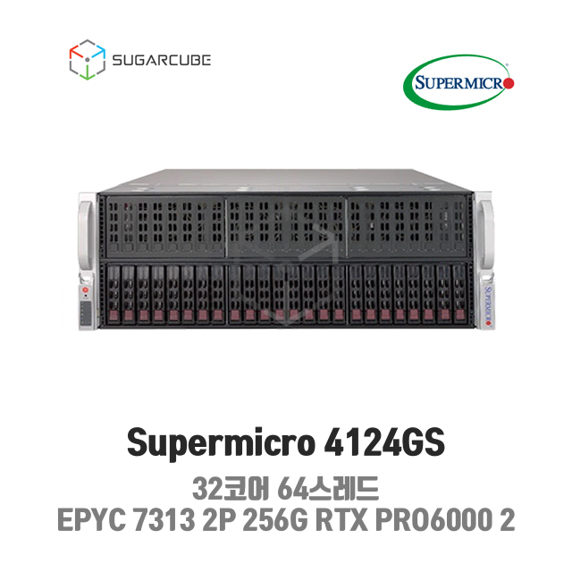 Supermicro 4124GS EPYC 7313 2P 256G RTX PRO6000 2