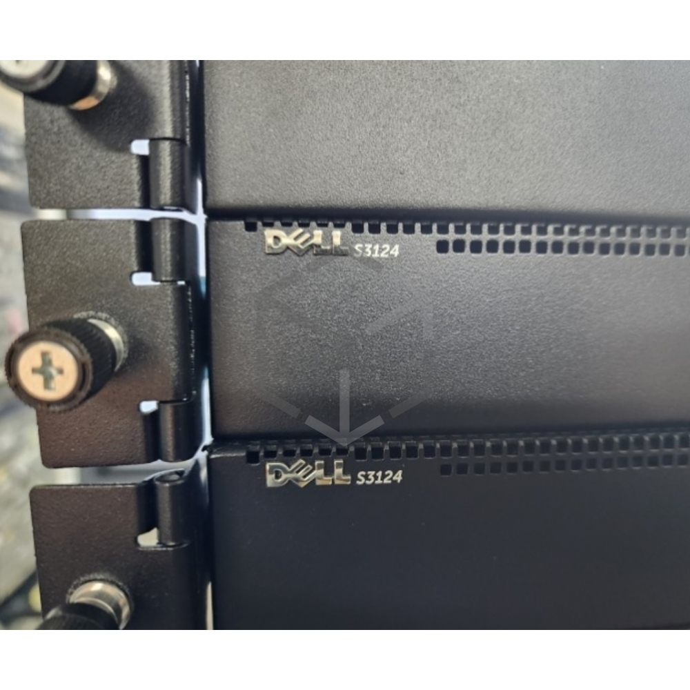 Dell S3124