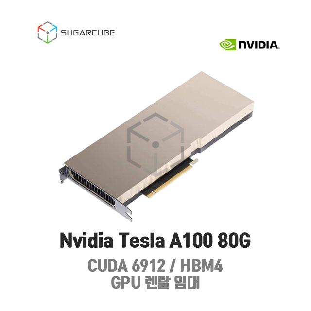 Tesla A100 80G